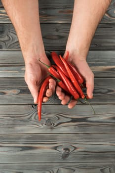 Bunch of red hot peppers on gray wooden table, top view. Human hands hold spicy chillies. Food or healthy diet concept. Copy space for text. Planking. Seasonal garden harvest. Nitrate free nutrition.