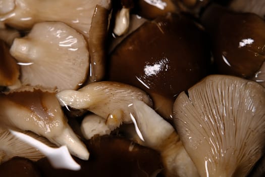 top view of fresh brown oyster mushrooms soaked in water, wash and clean ingredient before cooking.
