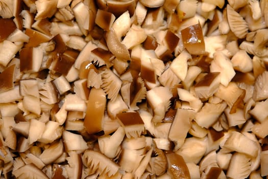 Oyster Mushroom Pleurotus ostreatus close up cooking in the fry pan with boiling juice and steam.