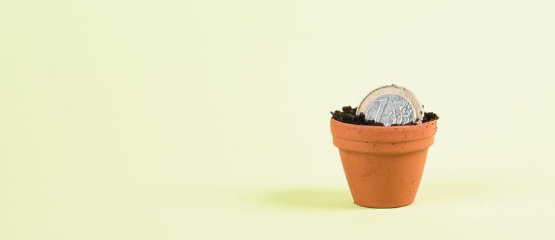 One Euro coin in small flowerpot, money growing, financial planning, profitable investment, hope concept