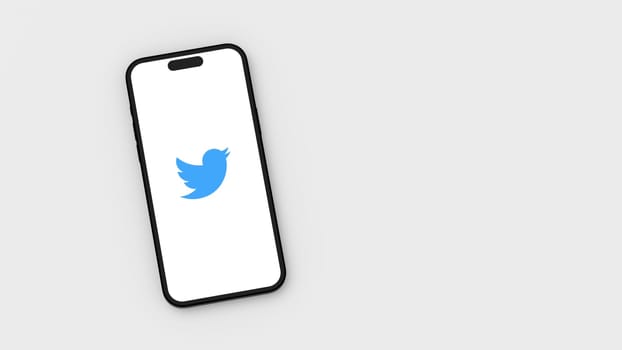 Twitter Logo on Mobile Phone Screen on Flat Light Gray Background with Copy Space 3D Render Illustration, Top View