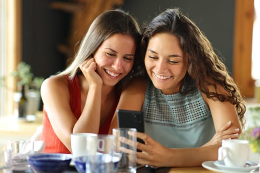 Front view of two happy friends checking smart pone in a restaurant