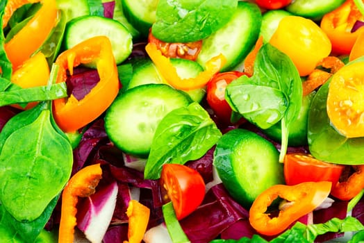 Spring salad of tomatoes, cucumbers, peppers and lettuce.
