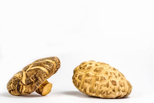 Shiitake mushroom, food and medicinal mushroom