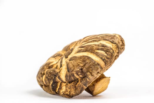 Shiitake mushroom, food and medicinal mushroom
