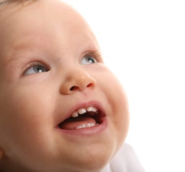 baby on the white background