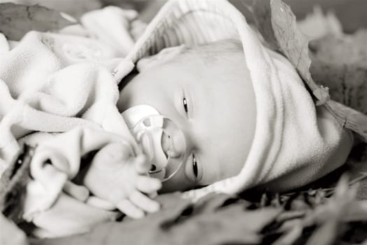Cute monchrome portrait of small boy