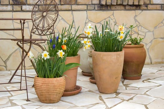 beautiful place in the garden in the mediterranean style, clay pots with spring flowers