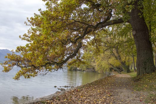 autumn view of lake and trees in Toscana Park, Gmunden