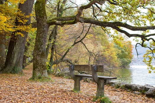 autumn view of lake, trees and bench in Toscana Park, Gmunden, Austria