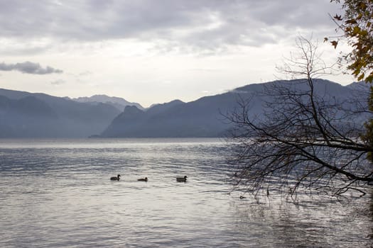 Lake Traunsee and Alps seen from Toscana Park in Gmunden, Upper Austria, Austria