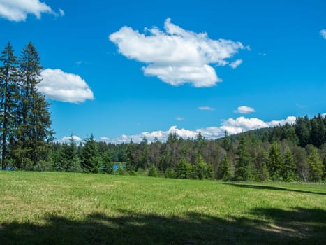 Landschaftsansicht in Bayern mit Gras im Vordergrund Wald und Weiher im Hintergrund vor blauen Himmel mit kleinen weißen wolken im Sommer.