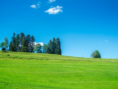 Landschaftsansicht mit grüner Wiese und kleiner Baumgruppe im Vordergrund vor blauen Himmel mit kleinen weißen Wolken im Sommer bei Sonnenschein.