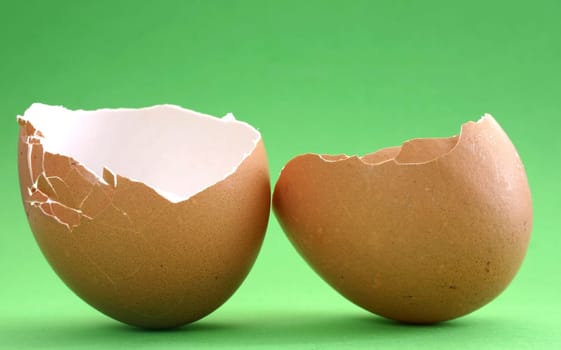 broken eggshell