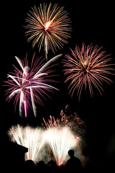 Some Colorful fireworks with silhouette in foreground