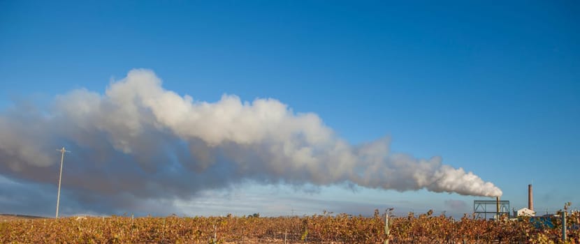 Gas emissions from olive oil factory
