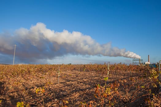 Gas emissions from olive oil factory