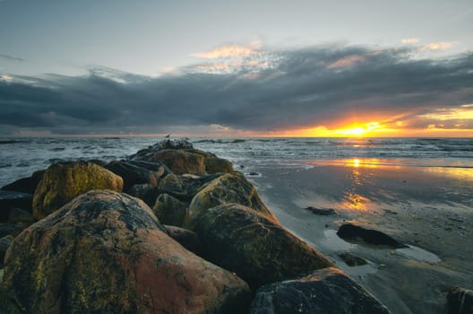 Sunset on the beach in Denmark. Stone groyne in the foreground. Walk on the coast in the sand. Landscape photo by the sea
