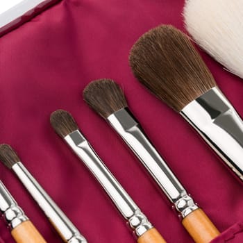 Various makeup brushes with soft bristles displayed in a vibrant case, ideal for professional or personal use during makeup application.