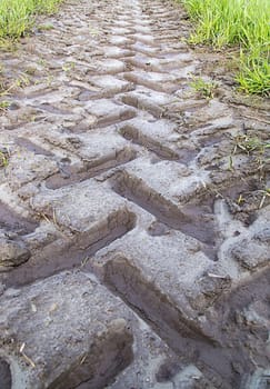 Tractor Track in mud trailing away.