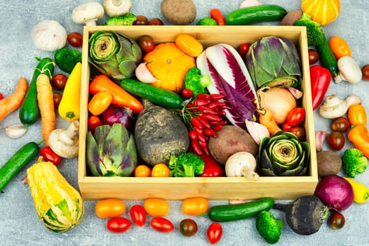 Colorful mix of vegetables. Pumpkin Pepper Cucumber Tomato Artichoke Potato Broccoli Beet. Food background