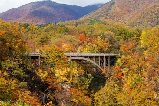The Nice view autumn foliage at Naruko Gorge Japan