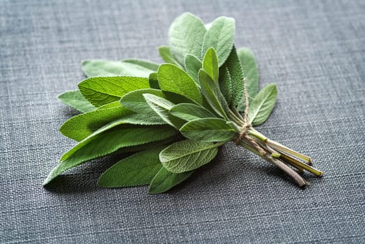 Bunch of fresh organic sage. Salvia officinalis. Sage leaves on table close-up. Garden sage. Seasonings and spices. Selective focus, copy space