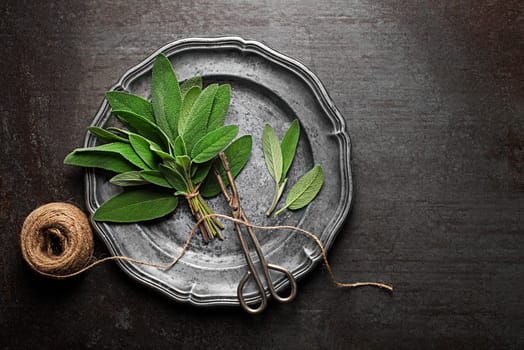 Sage leaves in plate. Medicinal herbs.