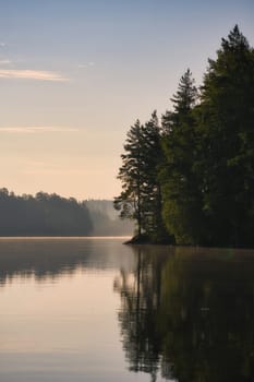 Stone rocks with conifers by the lake in Sweden in Smalland. Wild nature in Scandinavia. Landscape photo from the north