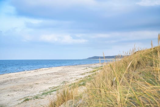 Beach crossing in Denmark by the sea. Dunes, sand water and clouds on the coast. Trip to the Baltic Sea. Vacation on the beach. Scandinavia landscape photo