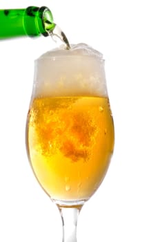 Beer in front of a white background