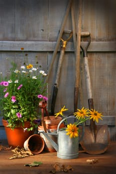 Garden shed with tools and flower pots