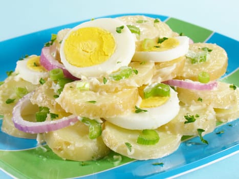 A plate of potato salad layered with hard-boiled eggs and red onions.