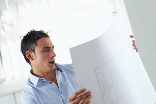 portrait of mid adult architect reading blueprint and smiling
