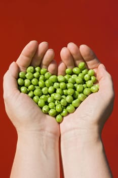 Woman's hands holding green peas on red background