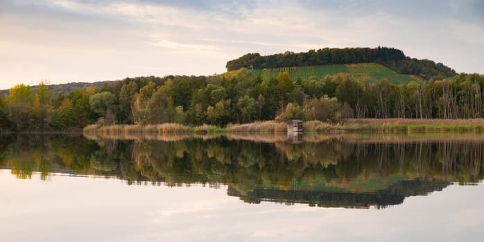 Biodiversity Haff Reimech, wetland and nature reserve in Luxembourg, pond surrounded by reed and trees, bird watching observation point