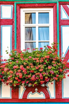 Beautiful Window with red flowers on historic Building in the idyllic little Town Idstein Hesse Germany.