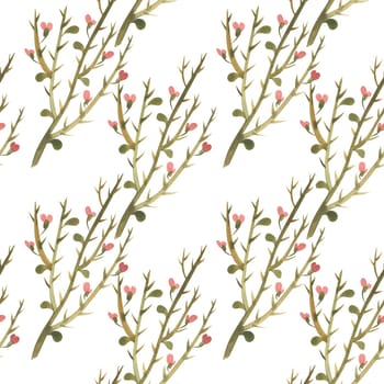 Seamless pattern with camel thorn. Design for textiles and paper. Watercolor illustration