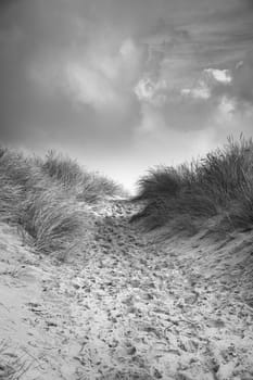 Beach crossing in Denmark by the sea taken in black and white. Dunes, sand water and clouds on the coast. Trip to the Baltic Sea. Vacation on the beach. Scandinavia landscape photo