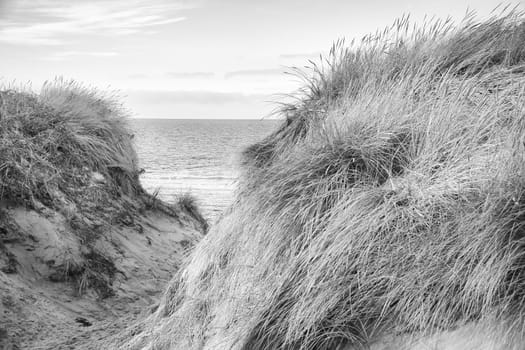 Beach crossing in Denmark by the sea taken in black and white. Dunes, sand water and clouds on the coast. Trip to the Baltic Sea. Vacation on the beach. Scandinavia landscape photo