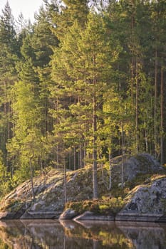 Stone rocks with conifers by the lake in Sweden in Smalland. Wild nature in Scandinavia. Landscape photo from the north