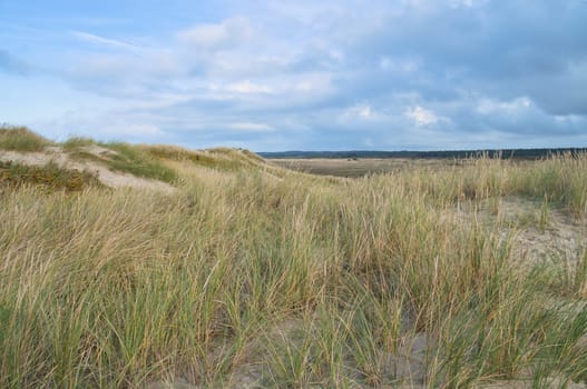 Dune landscape in Denmark by the sea. Trip to the Baltic Sea. Vacation on the beach. Scandinavia landscape photo