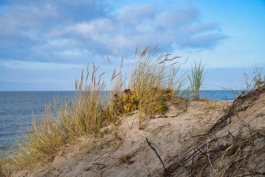 Beach crossing in Denmark by the sea. Dunes, sand water and clouds on the coast. Trip to the Baltic Sea. Vacation on the beach. Scandinavia landscape photo