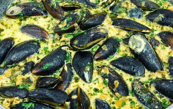 Cooked appetizing mussels in a creamy sauce