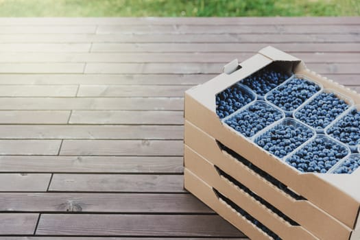 Shipping of blueberry in box or crate with many plastic containers of freshly collected berries. Agriculture business. Farmering, cultivating and harvesting blueberry. Stack with blueberry cardboards