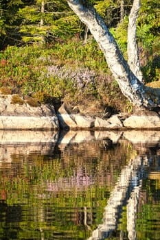 On the shore of a lake with rocks, trees and reflection in the water in Sweden, Smalland. Wild nature in Scandinavia. Landscape photo from the north