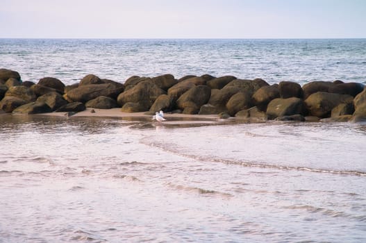 Stone groynes, breakwaters in the water off the coast in Denmark. Seagulls on the sandbar. Landscape photo by the sea
