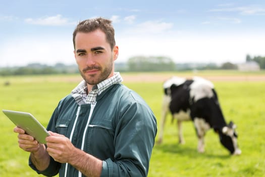 View of a young attractive farmer in a pasture with cows