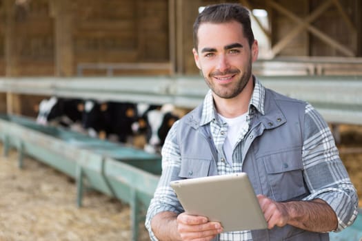 View of a Young attractive farmer in a barn with calf on the background