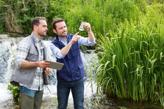 View of a Scientist and biologist working together on water analysis